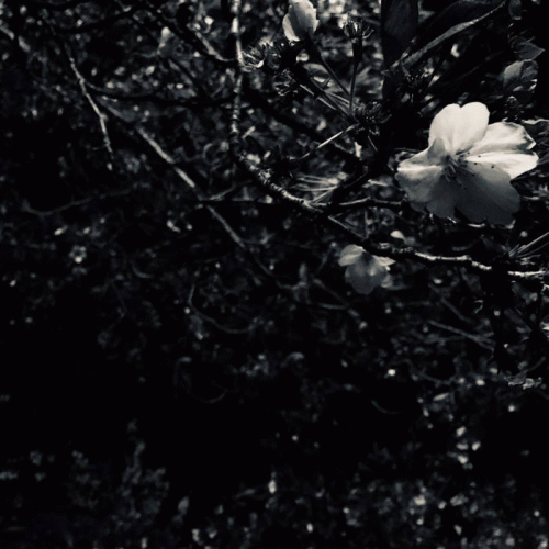 Specters of the Wastes